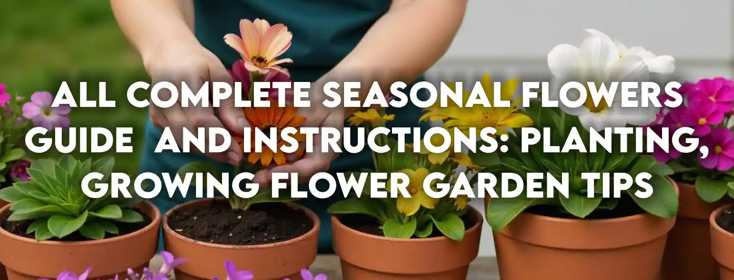 All Complete Seasonal Flowers Guide and Instructions