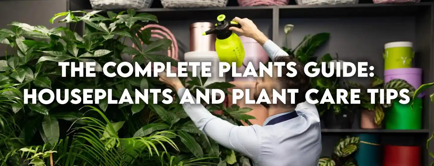 The CompletePlants Guide: Houseplants and Plant Care Tips