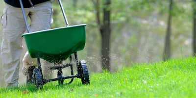 Best (and worst) Grass Seed Spreaders – Hand vs Push, Rotary vs Drop