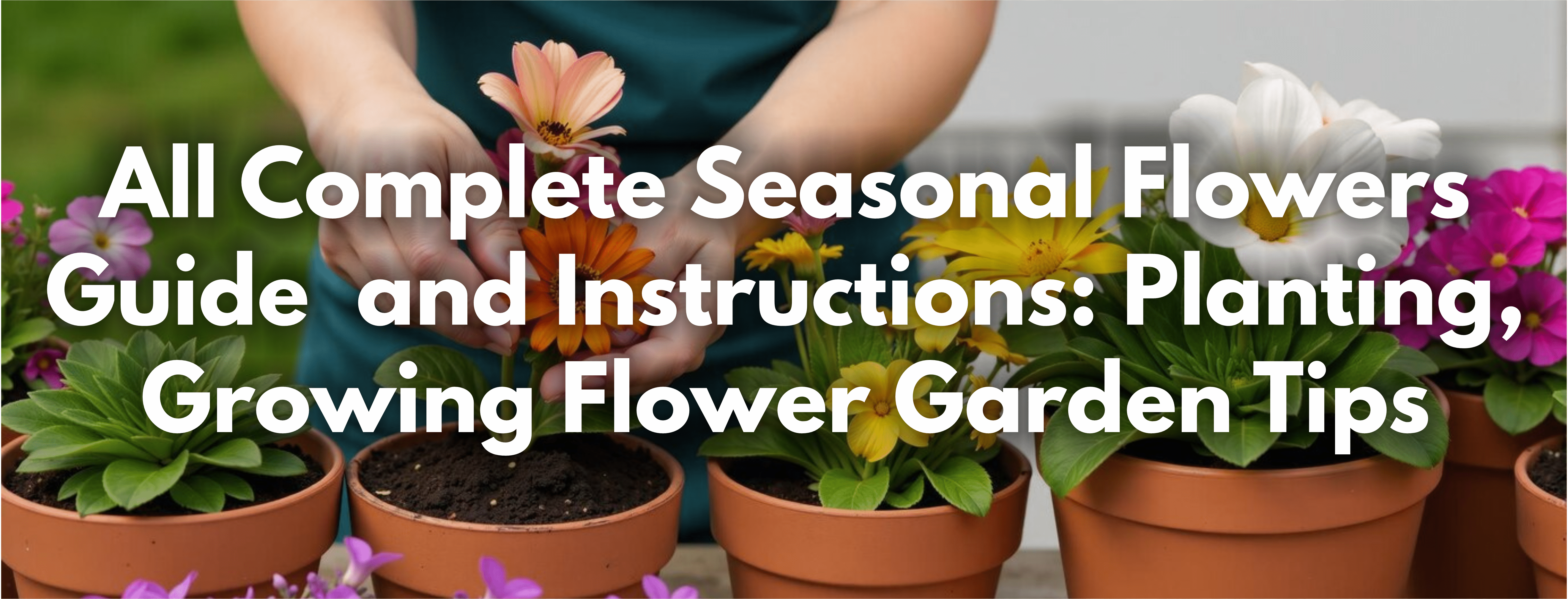 All Complete Seasonal Flowers Guide and Instructions: Planting, Growing Flower Garden Tips - FitfitGarden