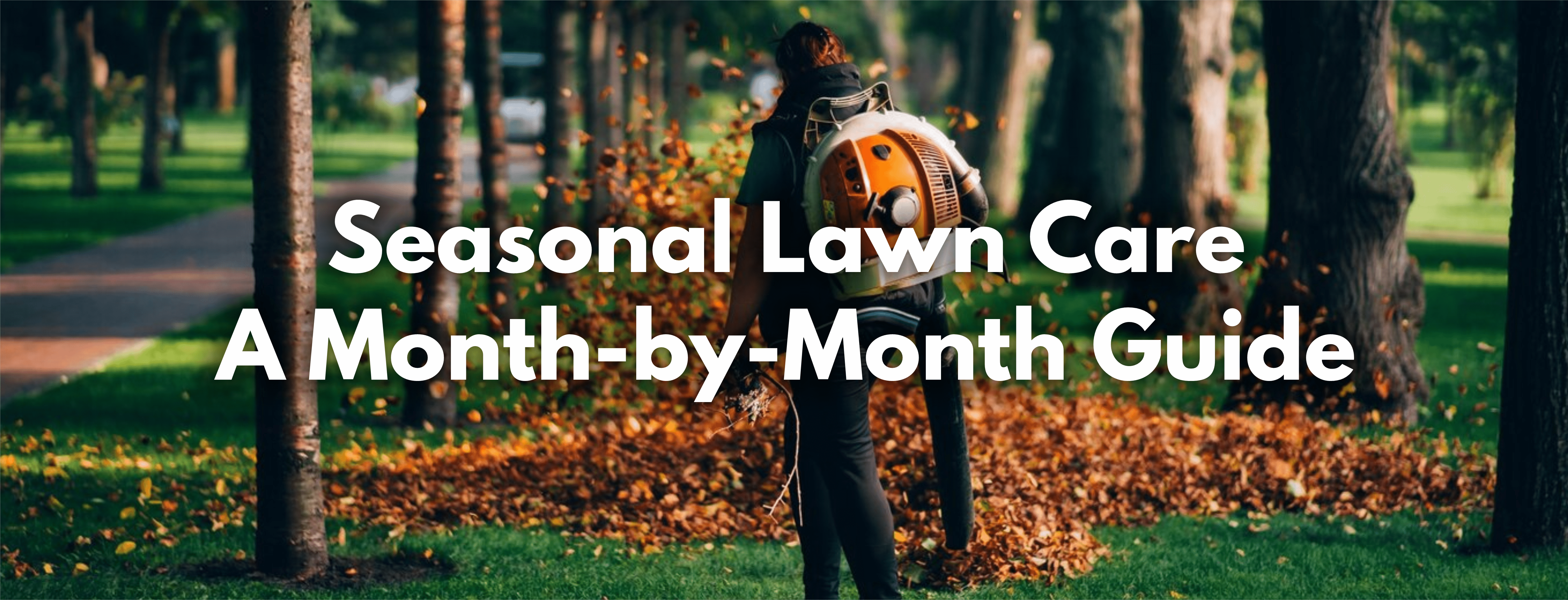 Seasonal Lawn Care: A Month-by-Month Guide - FitfitGarden