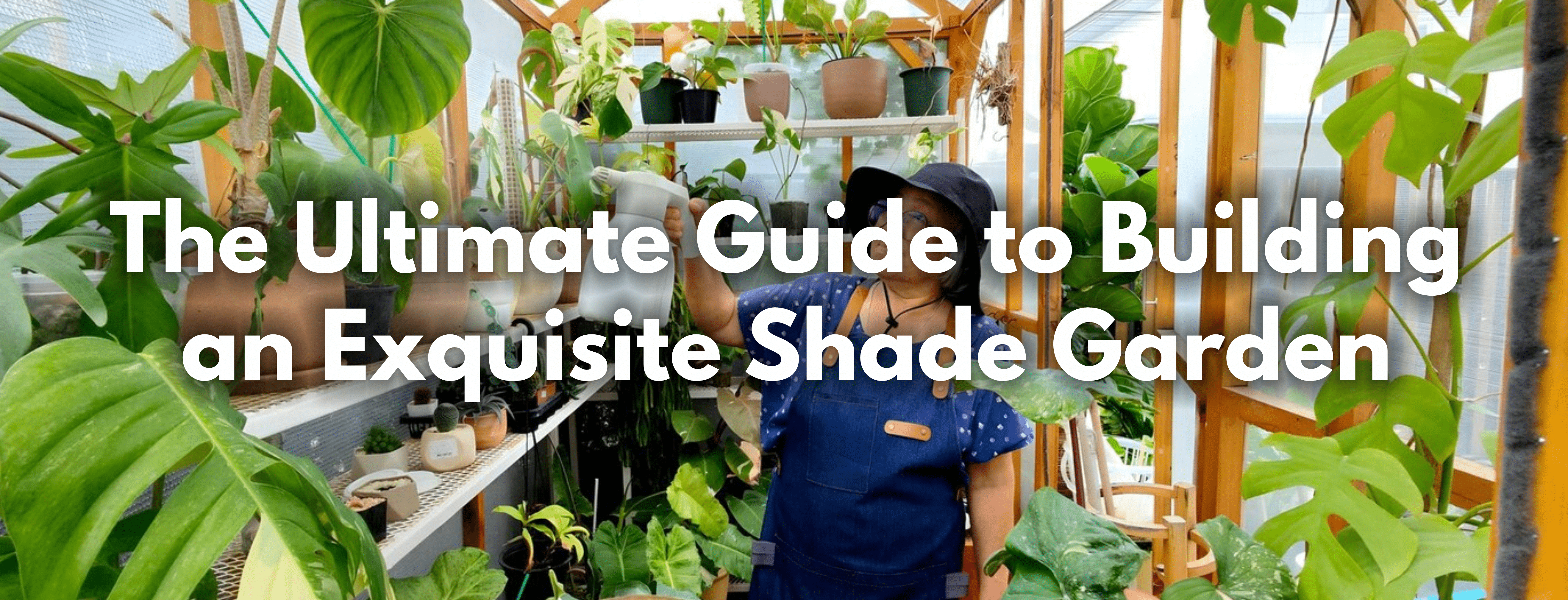The Ultimate Guide to Building an Exquisite Shade Garden - FitfitGarden