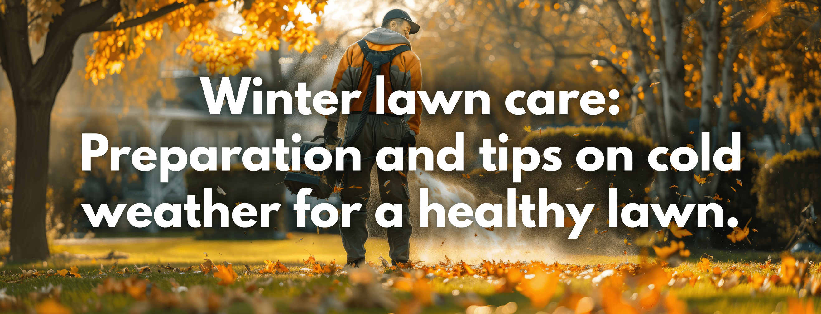 Winter lawn care: Preparation and tips on cold weather for a healthy lawn. - FitfitGarden