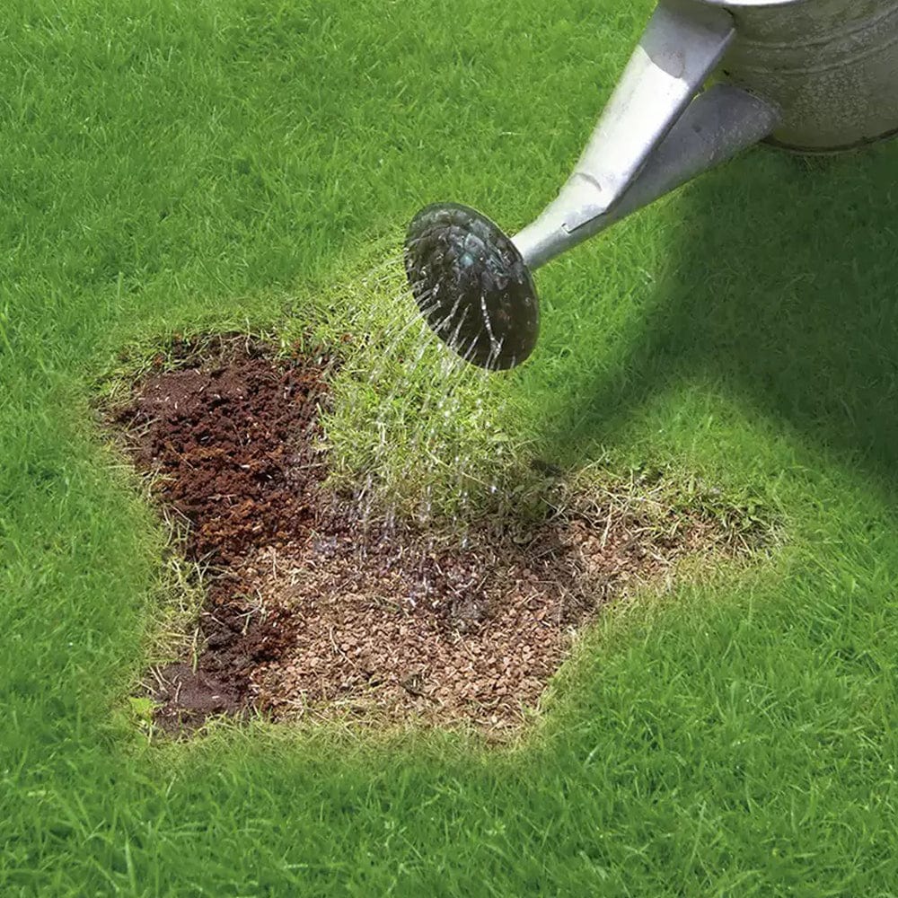 Miracle-Gro® Patch Magic Lawn Repair - FitfitGarden
