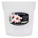 Clear Orchid Pot, 15Cm - Clear Plant Pots for Orchids