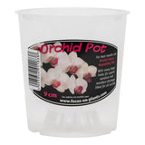 Clear Orchid Pot, 21cm - Clear Plant Pots for Orchids