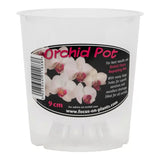 Clear Orchid Pot, 21cm - Clear Plant Pots for Orchids