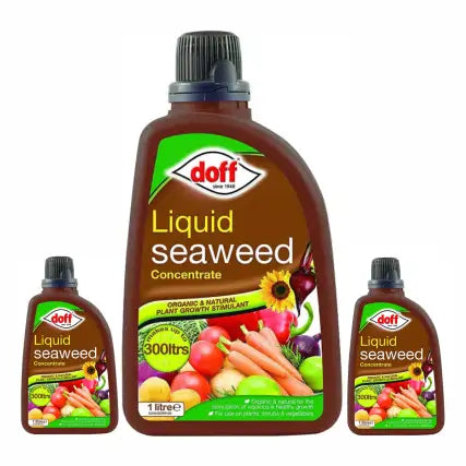 Doff Liquid Seaweed Concentrate bottles