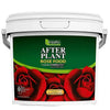 Empathy Rose Food with Rootgrow Fungi