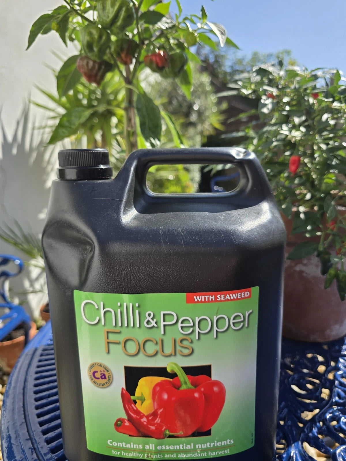 Growth Technology Chilli & Pepper Focus - 5L
