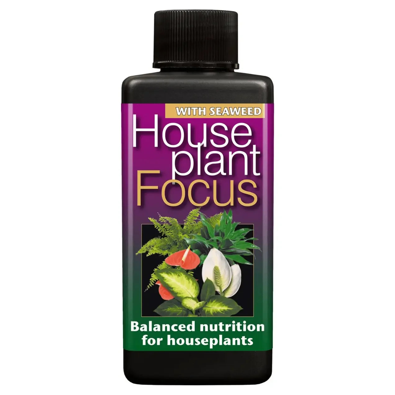 Growth Technology Houseplant Focus 1L