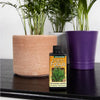 Growth Technology Palm Focus Liquid Concentrated Essential Nutrients uk online