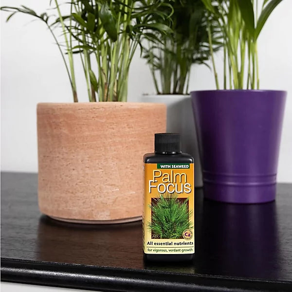Growth Technology Palm Focus Liquid Concentrated Essential Nutrients uk online