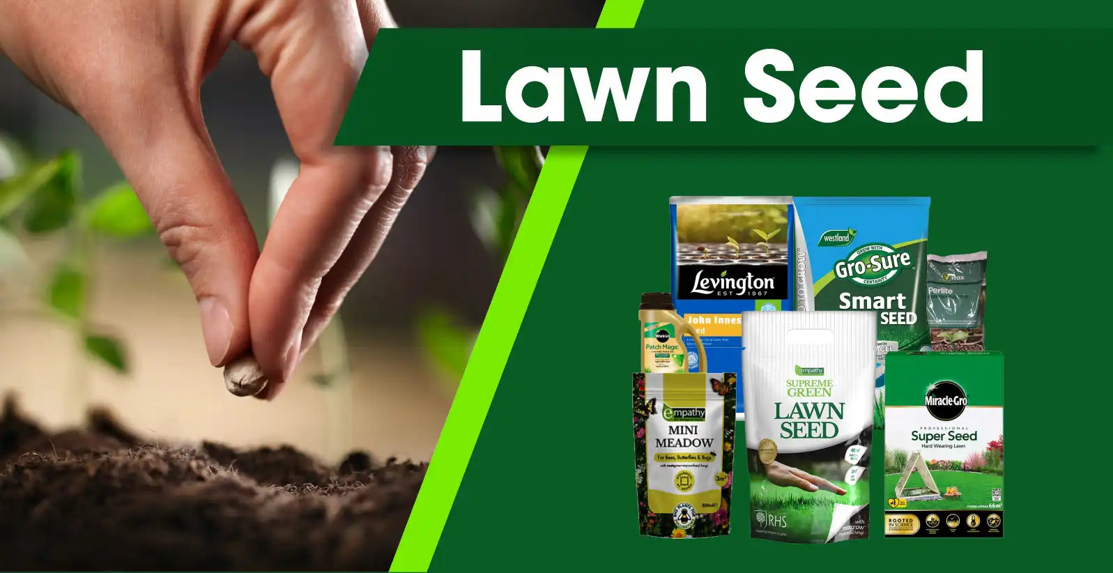 Lawn Seed for Fast Growing and Durable Green Grass