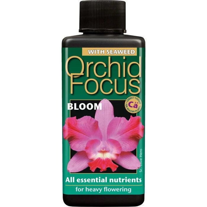 Orchid Focus Bloom 100ml Essential Nutrients Enhancing Growth Technology Food uk