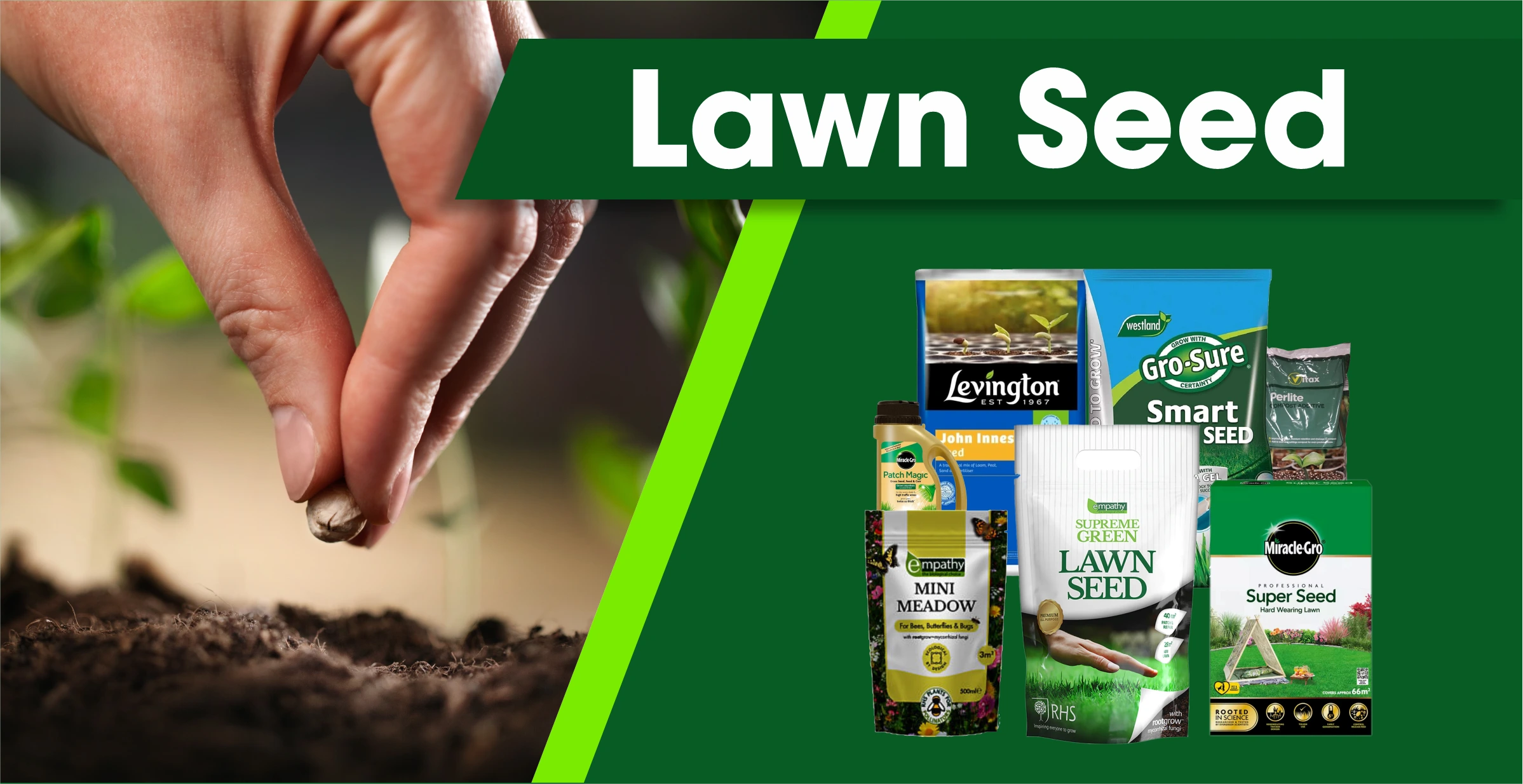 Premium lawn seed for lush, green, and healthy grass – FitFitGarden