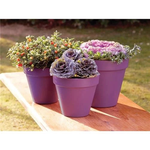 Ronseal Garden Paint Purple Berry 2.5 litre online