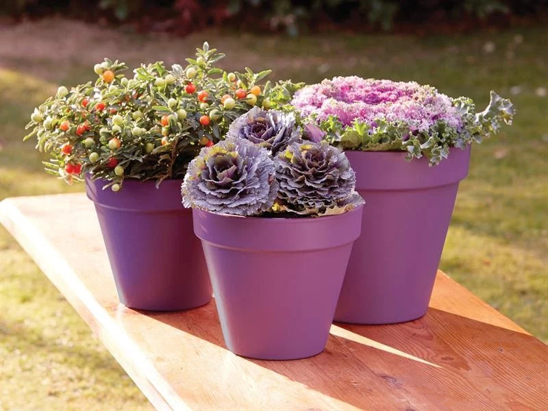 Ronseal Garden Paint Purple Berry 250ml uk online