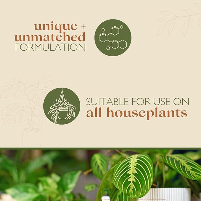 Baby Bio Houseplant Bug Killer Ultra - 1L - FitfitGarden