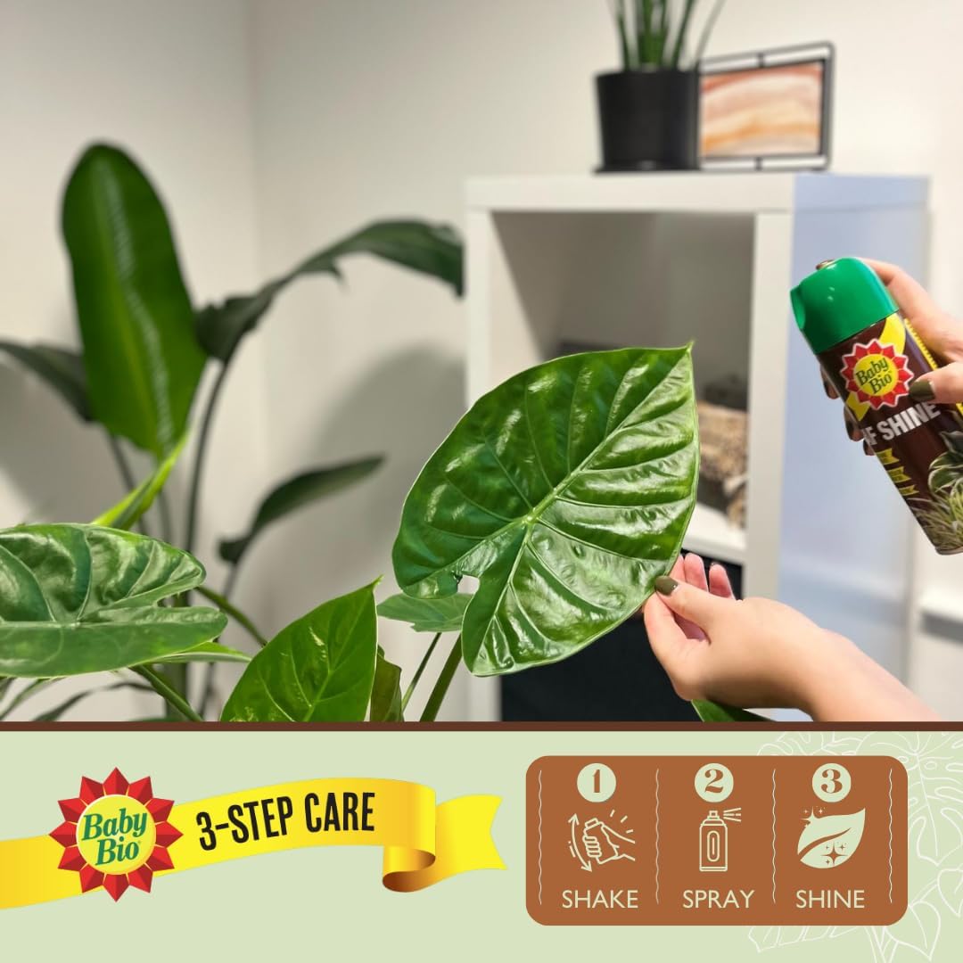 Baby Bio Leaf Shine 200ml - FitfitGarden