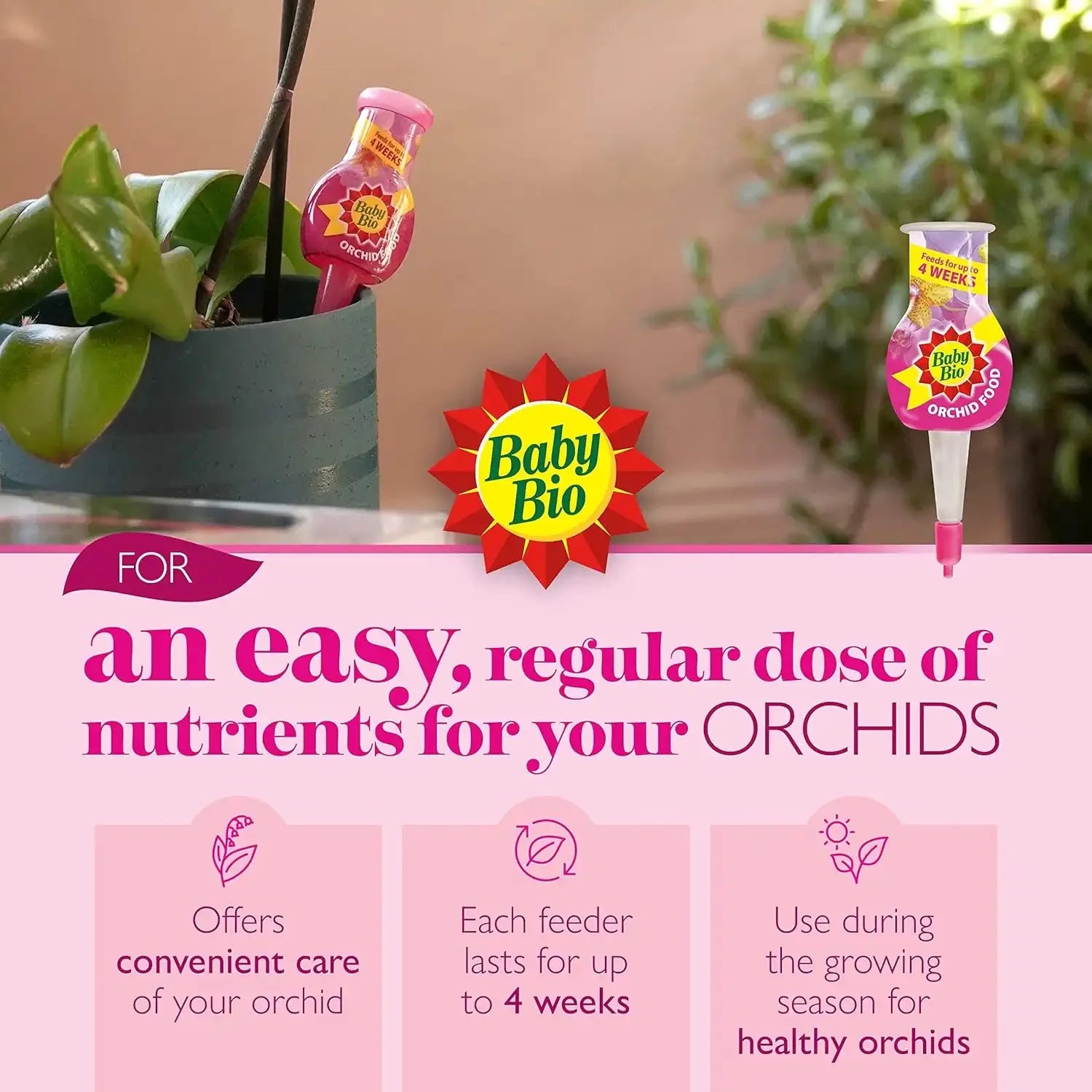 orchid drip feed set 4 pack UK