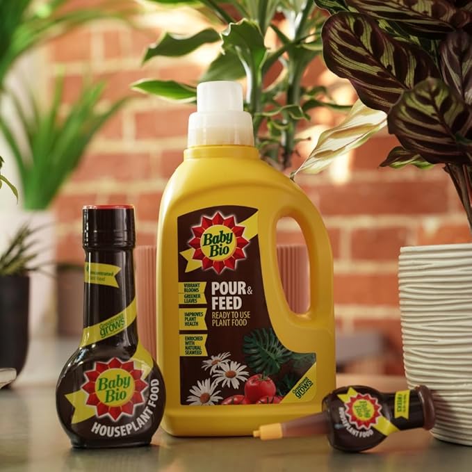 Baby Bio Pour & Feed Liquid Plant Food - 1L - FitfitGarden