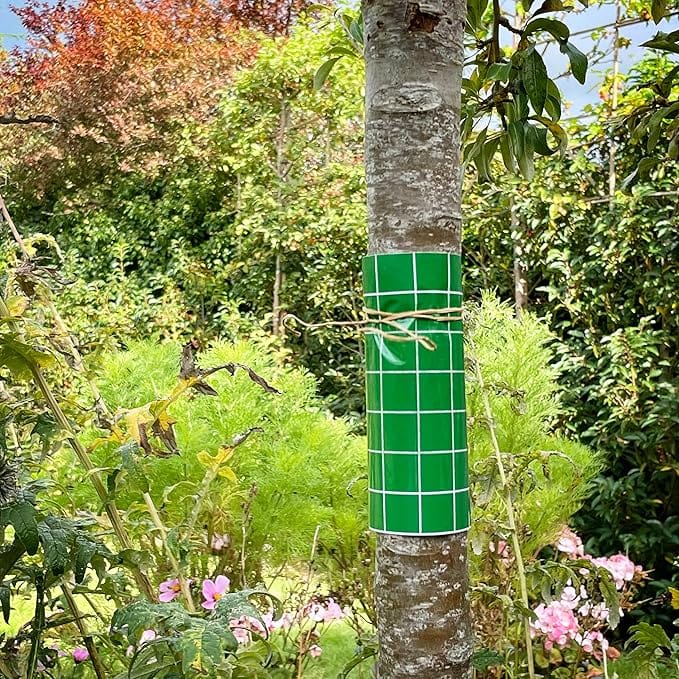 BUGCLEAR INSECT GLUE BARRIER - FitfitGarden