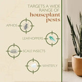 buy baby bio bug killer for houseplants UK