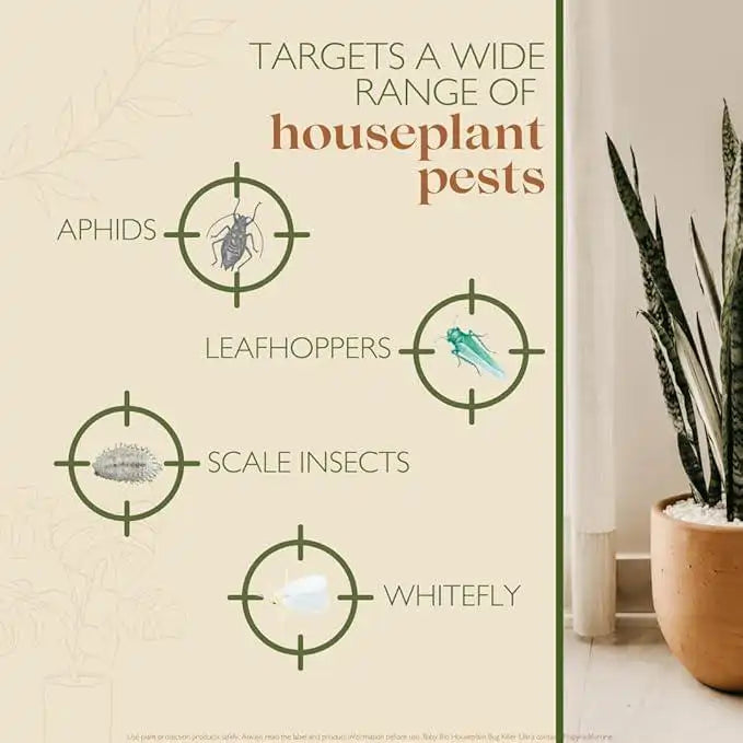 buy baby bio bug killer for houseplants UK