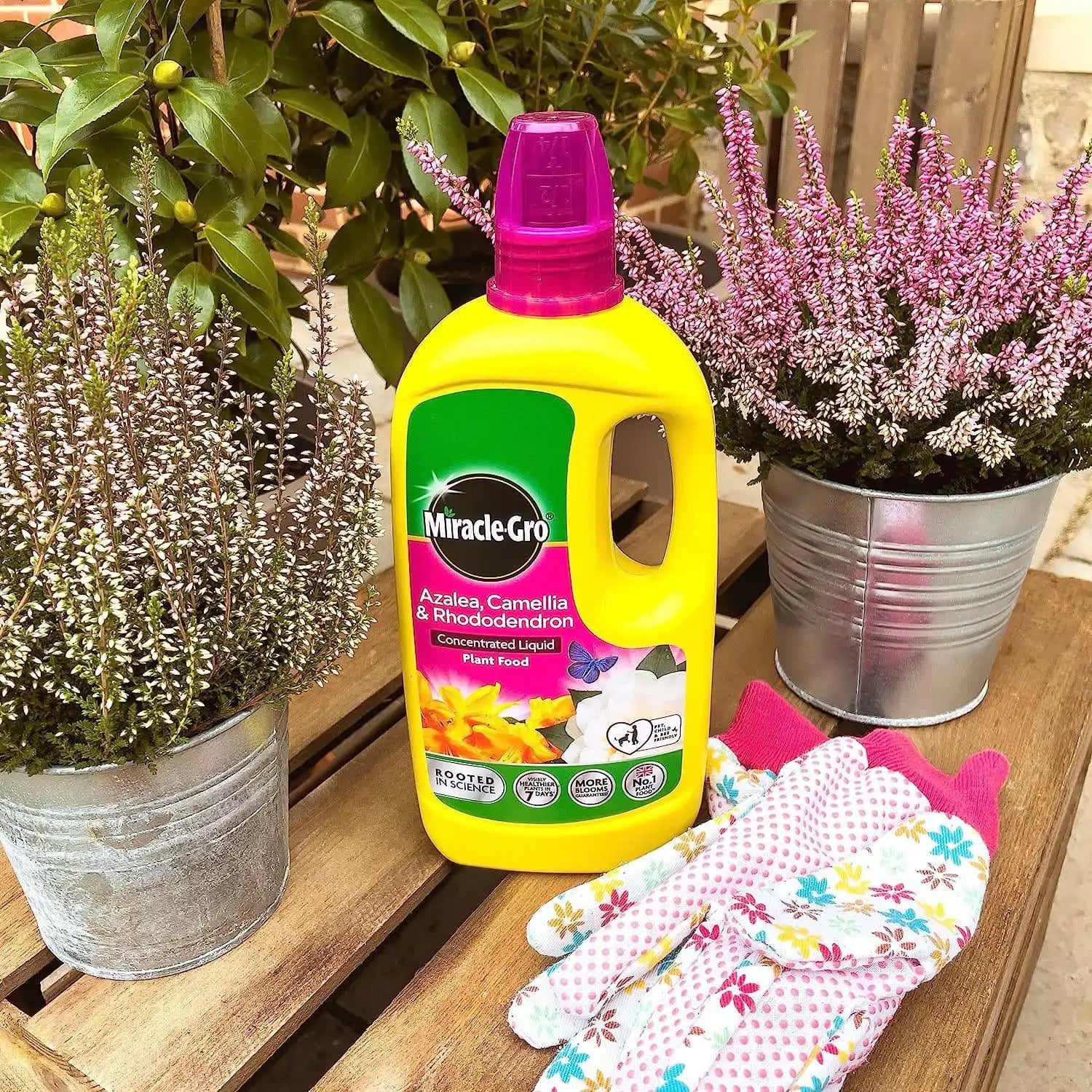 buy miracle-gro all purpose liquid plant feed online FitfitGarden