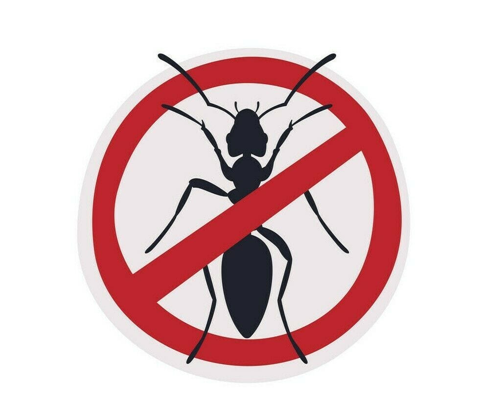 Doff® Ant & Crawling Insect Spray - FitfitGarden