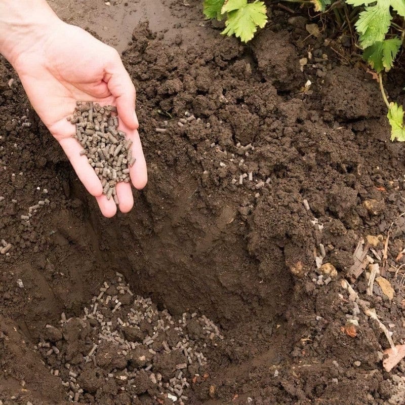 Doff Organic Chicken Manure