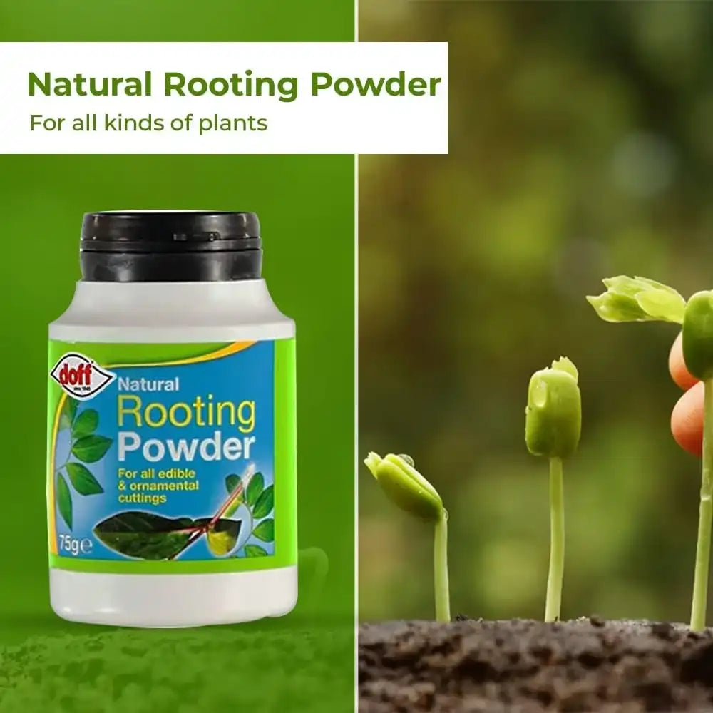 doff rooting powder for plant cuttings 75g price