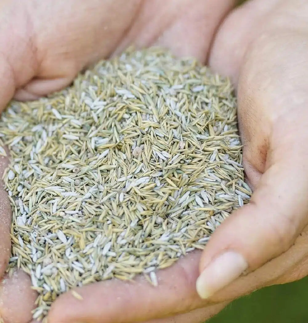 westland smart lawn seed 10kg with aqua gel technology