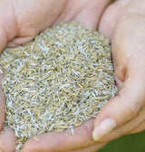 westland smart lawn seed 10kg with aqua gel technology