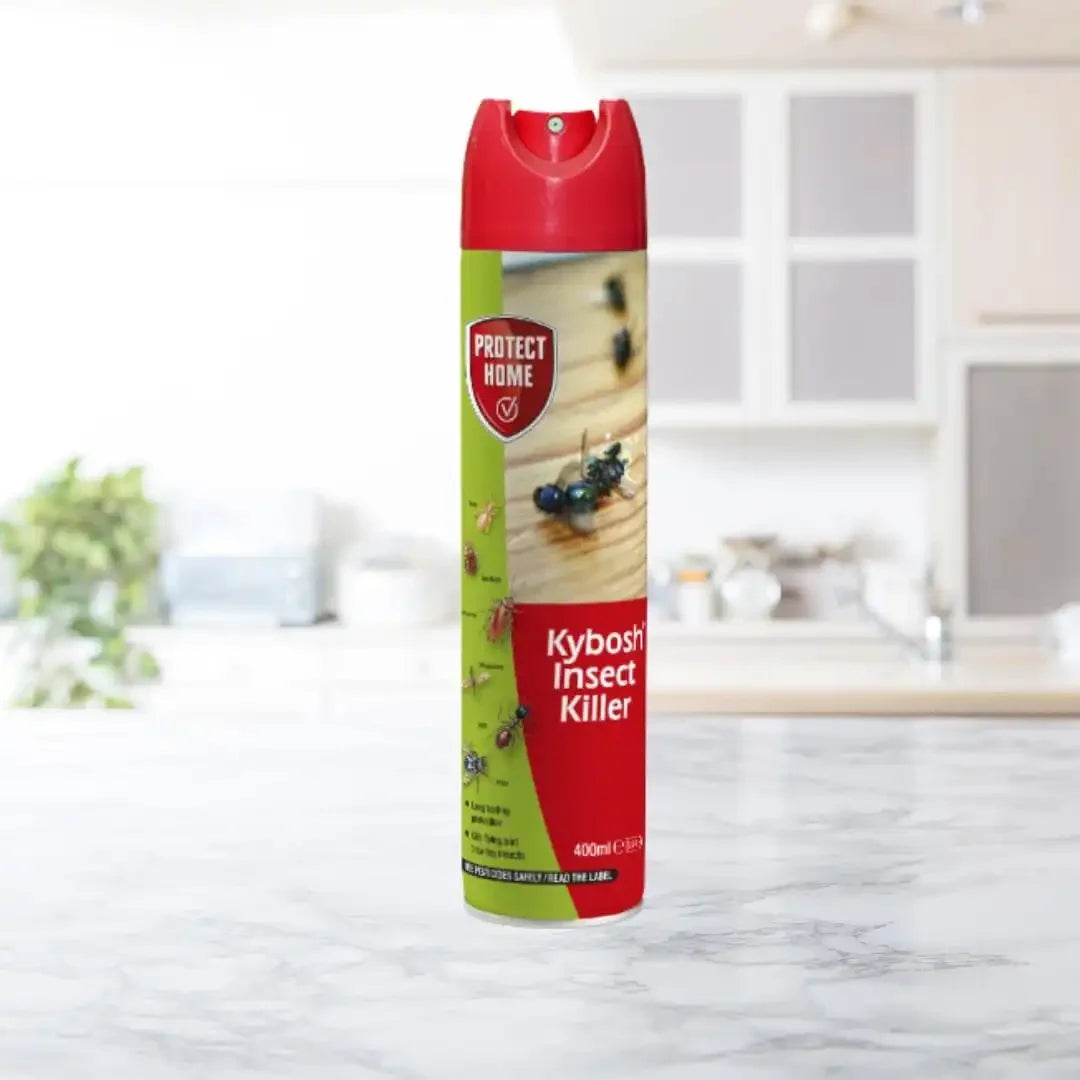 buy kybosh insect spray UK