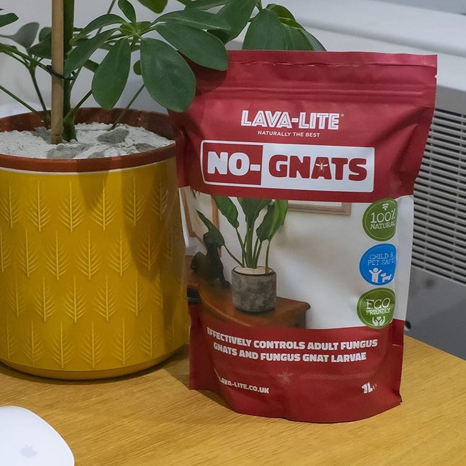 Lava Lite No Gnats Fungus Gnat Control Powder