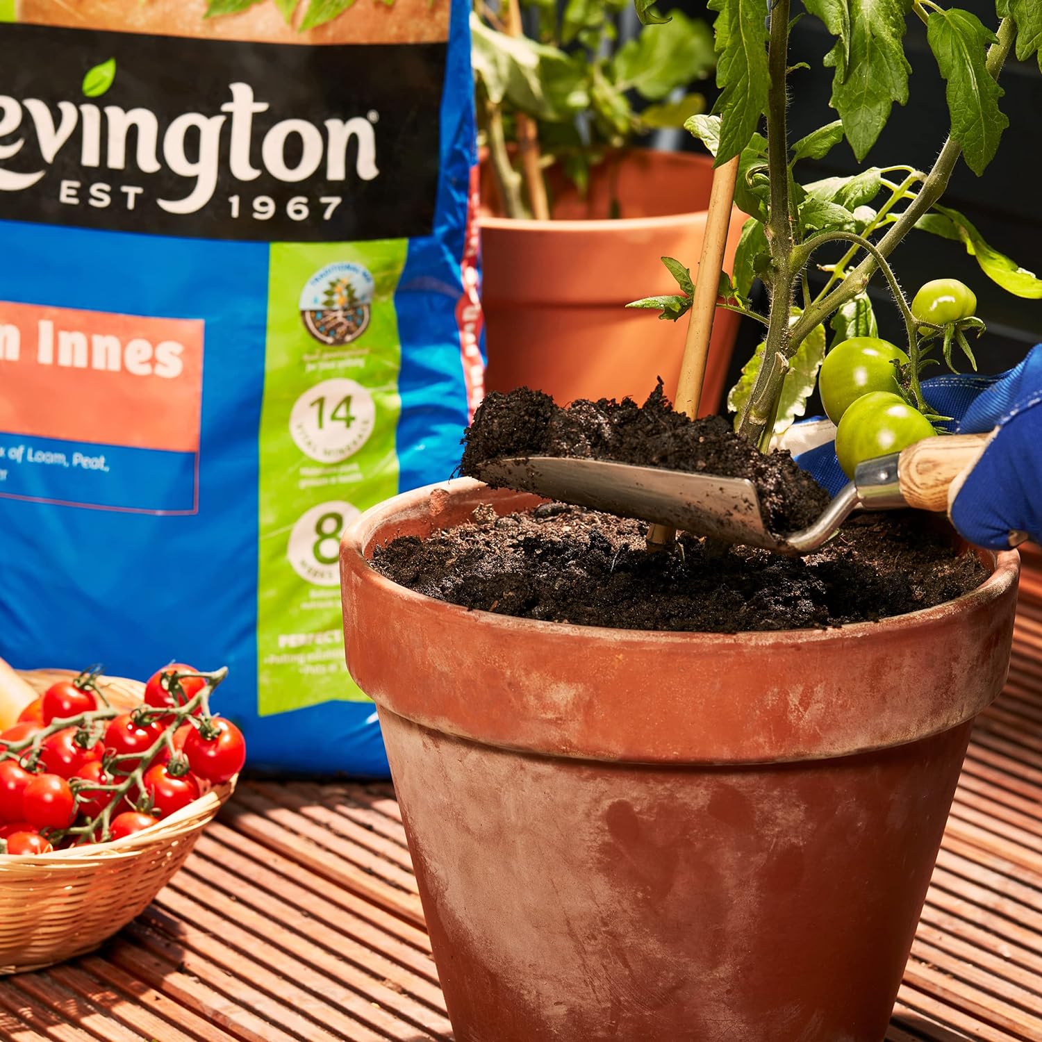 Levington® John Innes No. 3 Compost - FitfitGarden