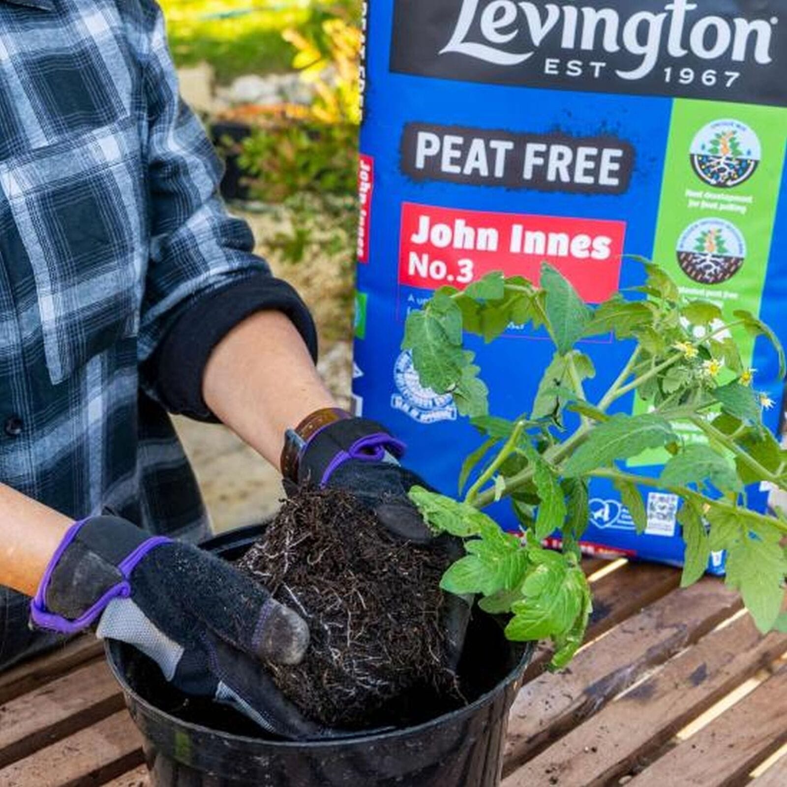 Levington Peat Free John Innes No.3