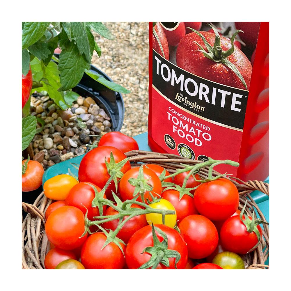 Levington® Tomorite® Concentrated Tomato Food - FitfitGarden