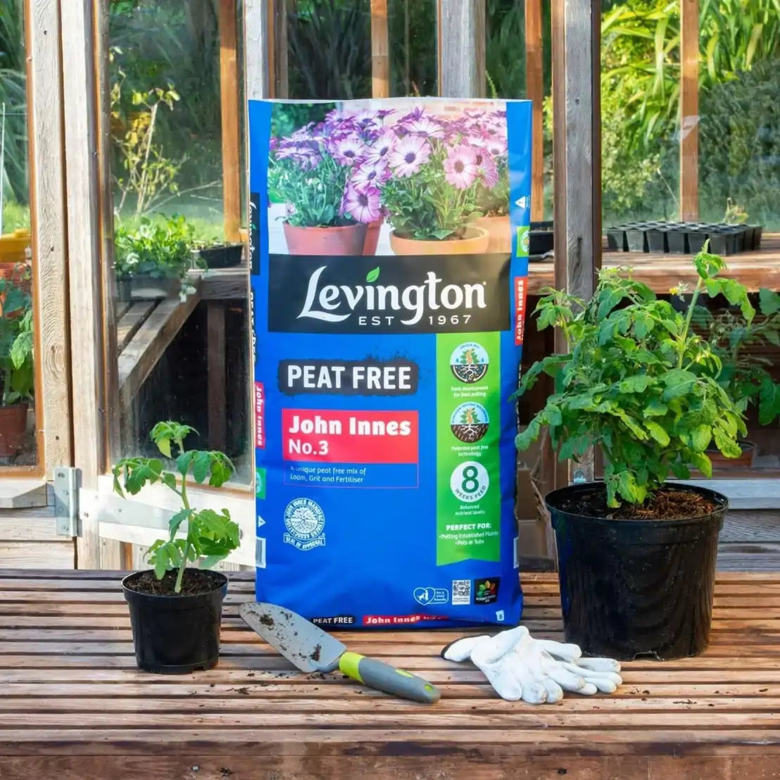 levington peat free john innes no.3 compost price