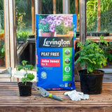 levington peat free john innes no.3 compost price