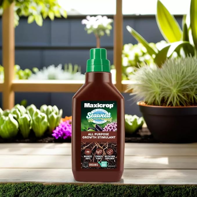 Maxicrop Organic Seaweed Plant Stimulant, 500ml - FitfitGarden