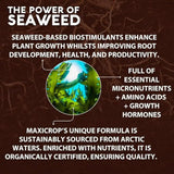 organic seaweed plant stimulant 500ml