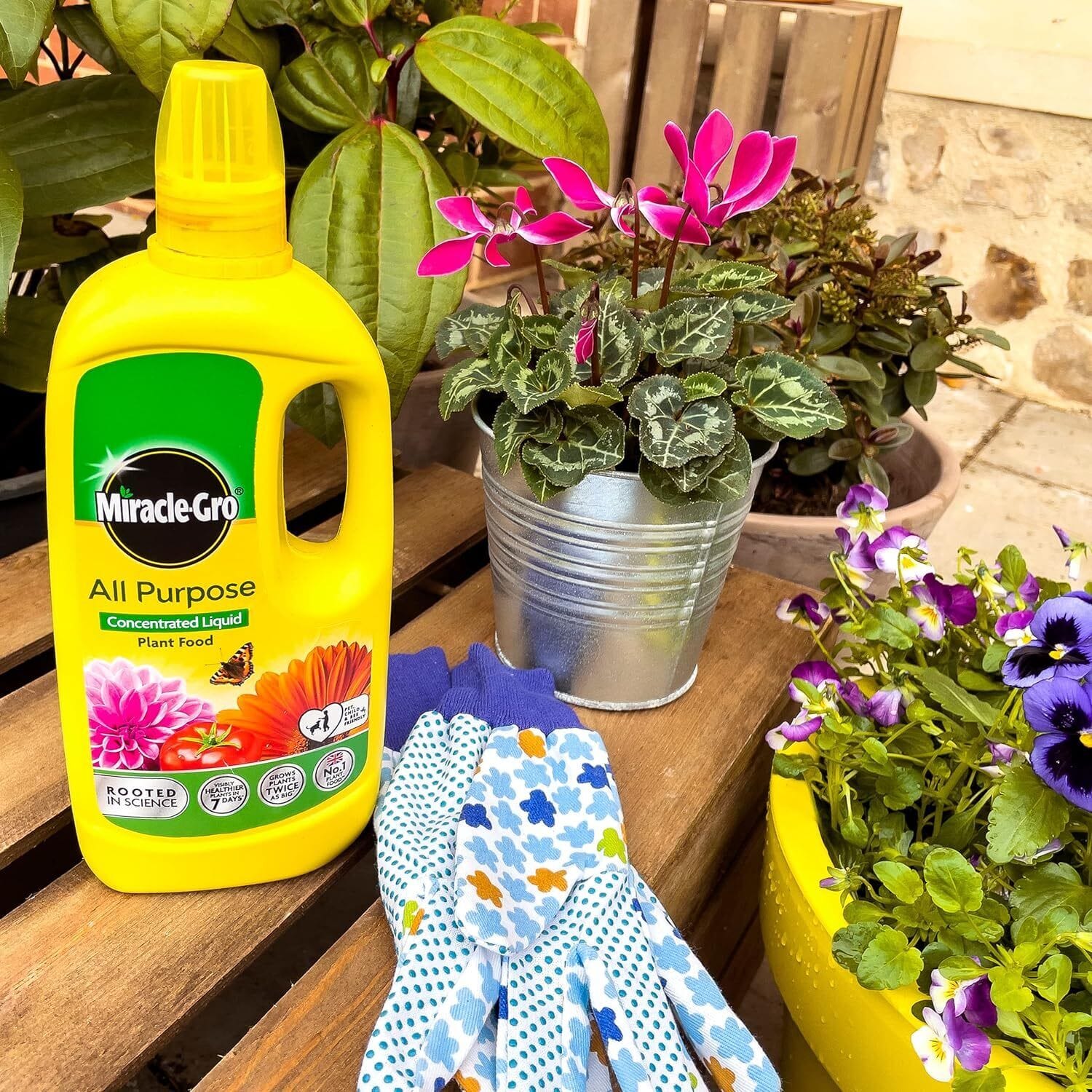 Miracle - Gro® All Purpose Concentrated Liquid Plant Food - FitfitGarden