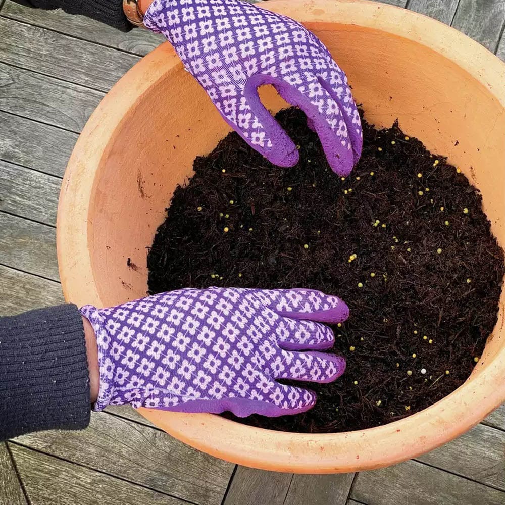 Miracle - Gro® All Purpose Continuous Release Plant Food - FitfitGarden