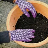 Miracle-Gro All Purpose Plant Food 2kg