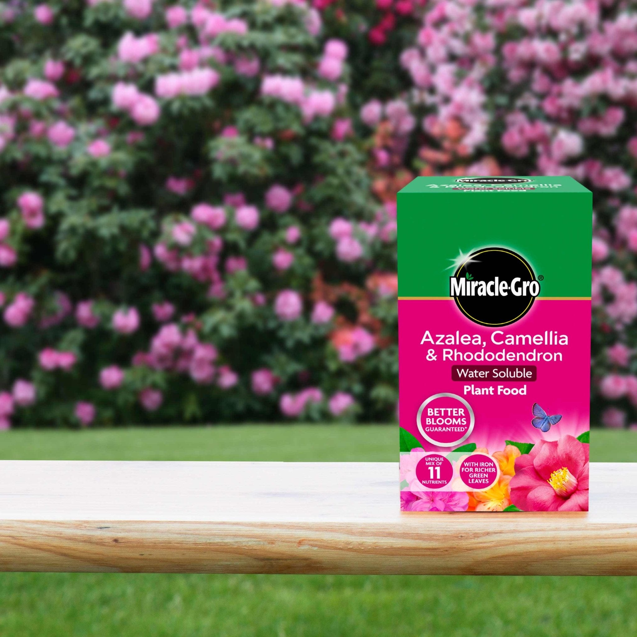 Miracle - Gro® Azalea, Camellia & Rhododendron Soluble Plant Food - FitfitGarden