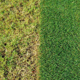 Miracle - Gro® Complete 4in1 Lawn Spreader 80m2 - FitfitGarden