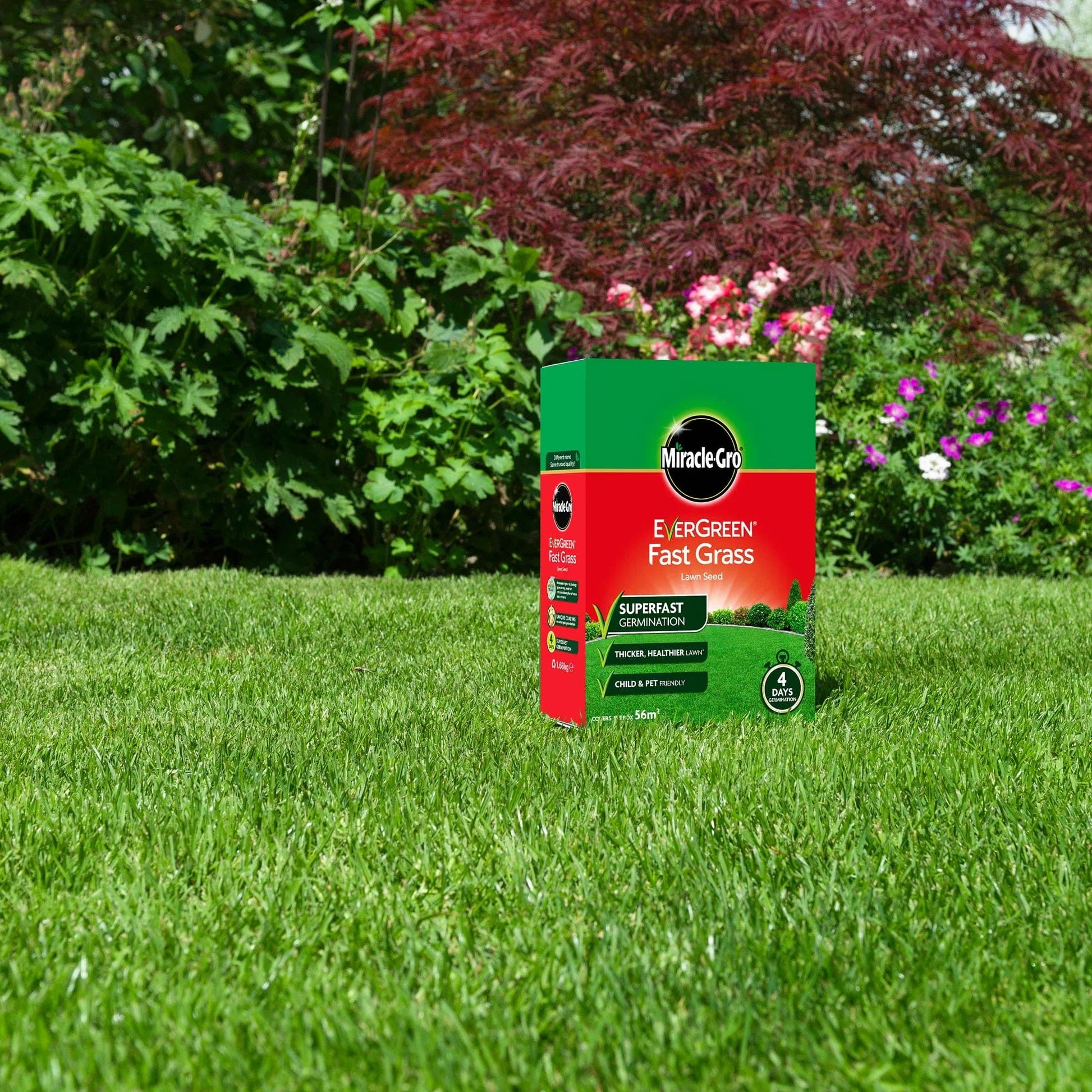 Miracle - Gro® Fast Grass Seed Promo 480gm - FitfitGarden